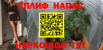 амф Новокубанск
