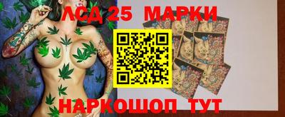 амф Новокубанск