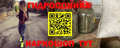 стафф Новозыбков