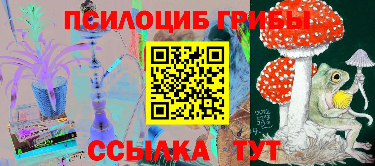 Галлюциногенные грибы прущие грибы  где купить наркоту  Сунжа  Вход с VPN 