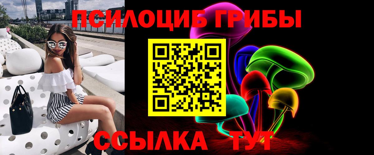 Галлюциногенные грибы Cubensis Сунжа