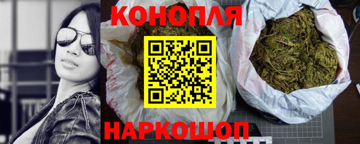 Шишки марихуана план Сунжа