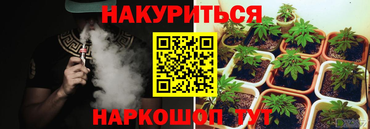 Сунжа  Бошки Шишки Bruce Banner  Каннабис Bruce Banner  Вход с VPN  Каннабис Amnesia 